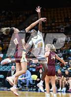 Photo from the gallery "Windsor vs. Northfield (CHSAA 5A Great 8)"