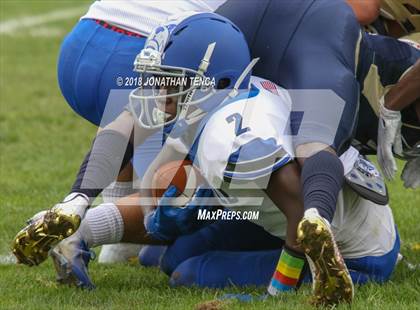 Thumbnail 1 in Bunnell @ Notre Dame Catholic photogallery.