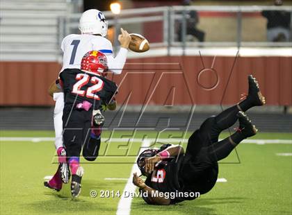 Thumbnail 3 in Midlothian @ Cedar Hill photogallery.