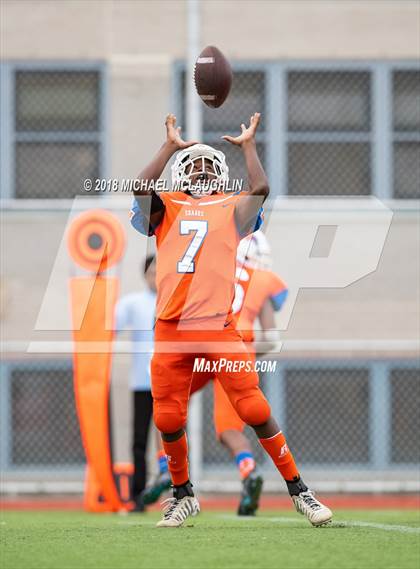 Thumbnail 3 in Douglass Academy @ Frank J. Macchiarola photogallery.