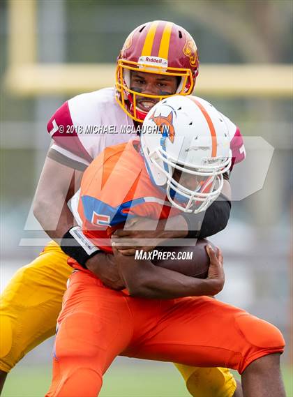 Thumbnail 3 in Douglass Academy @ Frank J. Macchiarola photogallery.