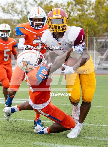 Thumbnail 1 in Douglass Academy @ Frank J. Macchiarola photogallery.