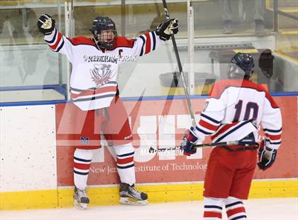 Thumbnail 1 in Park Regional [Hanover Park/Whippany Park] vs Mendham (Haas Cup Final) photogallery.