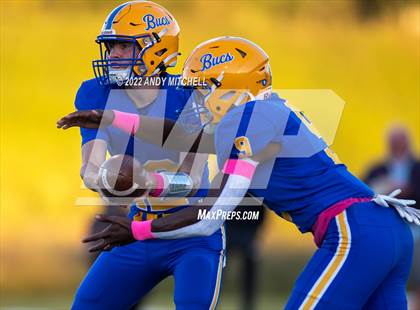 Thumbnail 2 in Chattanooga Christian @ Boyd-Buchanan photogallery.