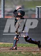 Photo from the gallery "Arcata @ Foothill"