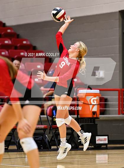 Thumbnail 2 in Crawford @ Lorena photogallery.
