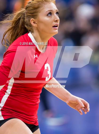 Thumbnail 2 in Fairview vs. Cherry Creek (CHSAA 5A Playoff) photogallery.