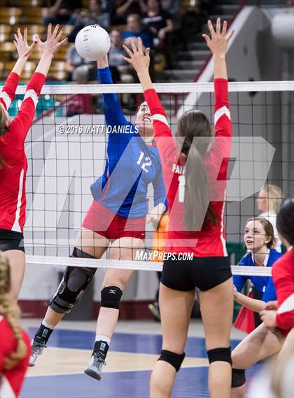 Thumbnail 3 in Fairview vs. Cherry Creek (CHSAA 5A Playoff) photogallery.