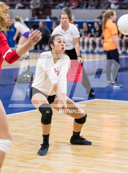 Thumbnail 2 in Fairview vs. Cherry Creek (CHSAA 5A Playoff) photogallery.