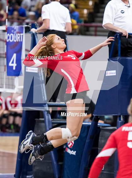 Thumbnail 1 in Fairview vs. Cherry Creek (CHSAA 5A Playoff) photogallery.