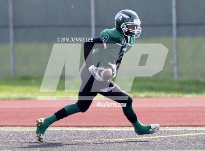 Thumbnail 2 in Armijo @ Rodriguez photogallery.