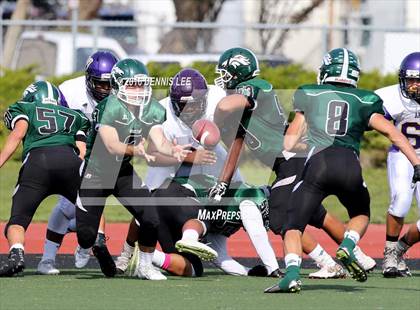 Thumbnail 3 in Armijo @ Rodriguez photogallery.