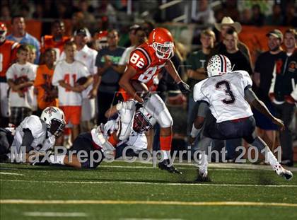 Thumbnail 3 in Poly vs. King photogallery.