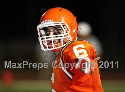 Thumbnail 3 in Poly vs. King photogallery.