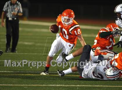 Thumbnail 3 in Poly vs. King photogallery.