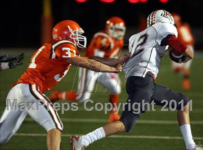 Thumbnail 2 in Poly vs. King photogallery.