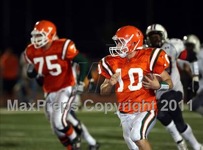Thumbnail 2 in Poly vs. King photogallery.