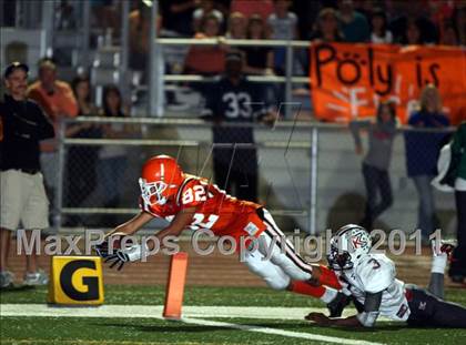 Thumbnail 3 in Poly vs. King photogallery.