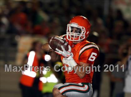 Thumbnail 1 in Poly vs. King photogallery.