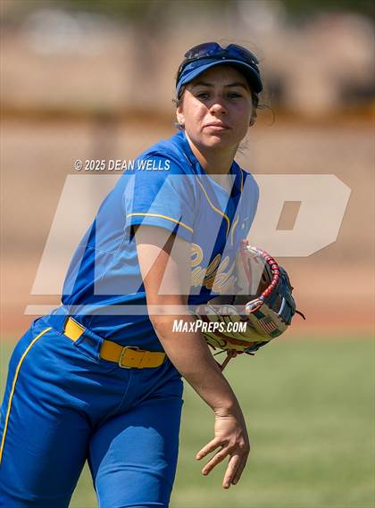 Thumbnail 1 in Ash Fork/Seligman @ Kingman photogallery.