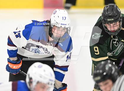 Thumbnail 3 in Enfield/East Granby/Stafford @ SGWL [Suffield/Granby/Windsor Locks] photogallery.