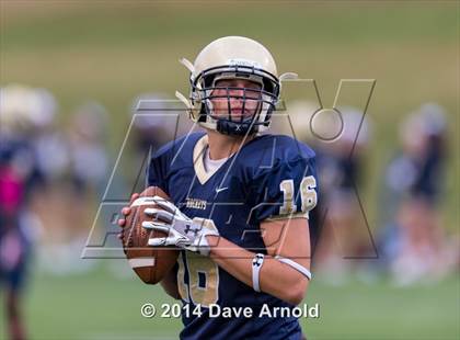 Thumbnail 1 in Framingham @ Needham photogallery.