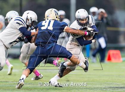 Thumbnail 1 in Framingham @ Needham photogallery.