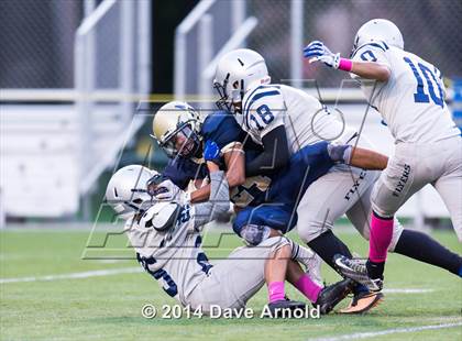 Thumbnail 1 in Framingham @ Needham photogallery.