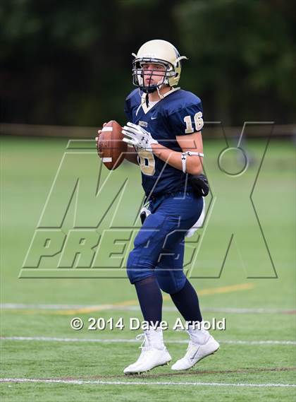 Thumbnail 1 in Framingham @ Needham photogallery.