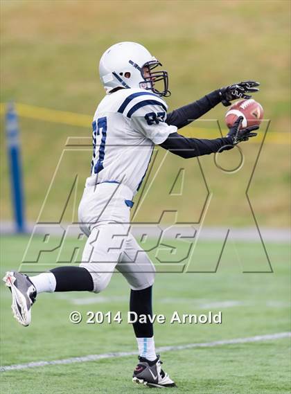 Thumbnail 2 in Framingham @ Needham photogallery.