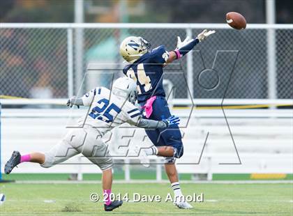 Thumbnail 1 in Framingham @ Needham photogallery.