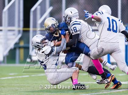 Thumbnail 3 in Framingham @ Needham photogallery.
