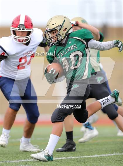 Thumbnail 3 in Liberty @ Falcon photogallery.