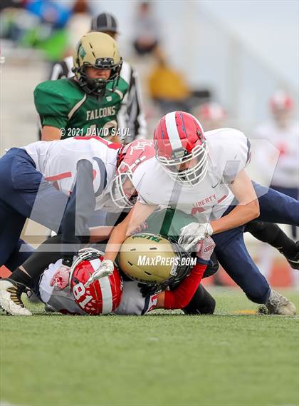 Thumbnail 2 in Liberty @ Falcon photogallery.