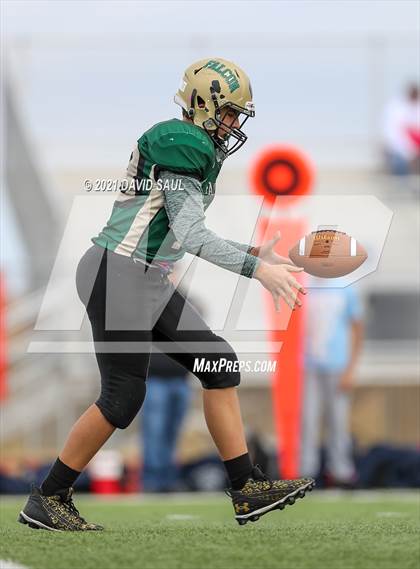 Thumbnail 1 in Liberty @ Falcon photogallery.