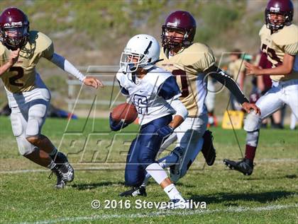 Thumbnail 3 in Point Loma @ Bonita Vista photogallery.
