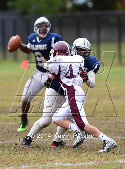 Thumbnail 3 in North Haven @ Hillhouse photogallery.