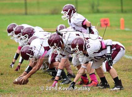 Thumbnail 1 in North Haven @ Hillhouse photogallery.