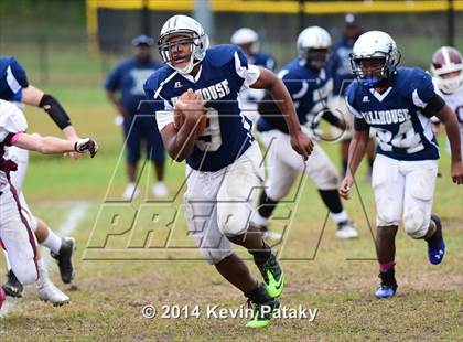 Thumbnail 2 in North Haven @ Hillhouse photogallery.