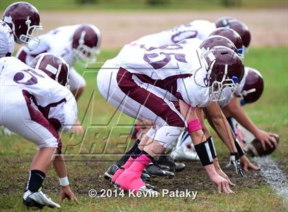 Thumbnail 2 in North Haven @ Hillhouse photogallery.