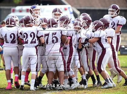 Thumbnail 2 in North Haven @ Hillhouse photogallery.