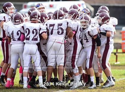 Thumbnail 3 in North Haven @ Hillhouse photogallery.