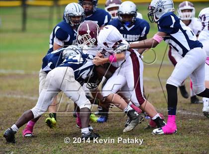 Thumbnail 3 in North Haven @ Hillhouse photogallery.