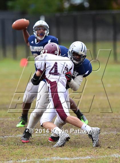 Thumbnail 1 in North Haven @ Hillhouse photogallery.