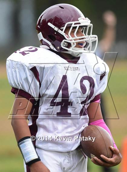 Thumbnail 1 in North Haven @ Hillhouse photogallery.
