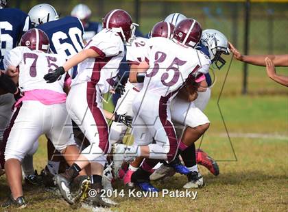 Thumbnail 3 in North Haven @ Hillhouse photogallery.