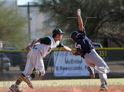 Thumbnail 1 in Sahuaro @ Canyon del Oro photogallery.