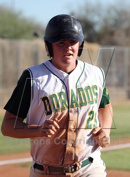Thumbnail 1 in Sahuaro @ Canyon del Oro photogallery.