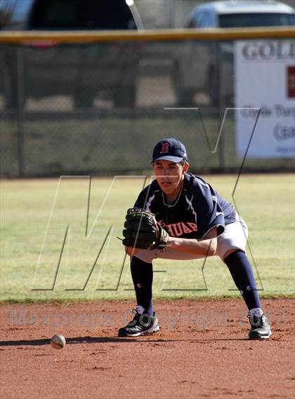 Thumbnail 1 in Sahuaro @ Canyon del Oro photogallery.