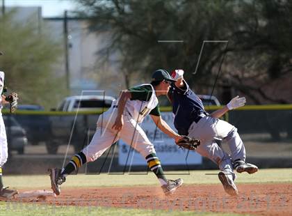 Thumbnail 2 in Sahuaro @ Canyon del Oro photogallery.